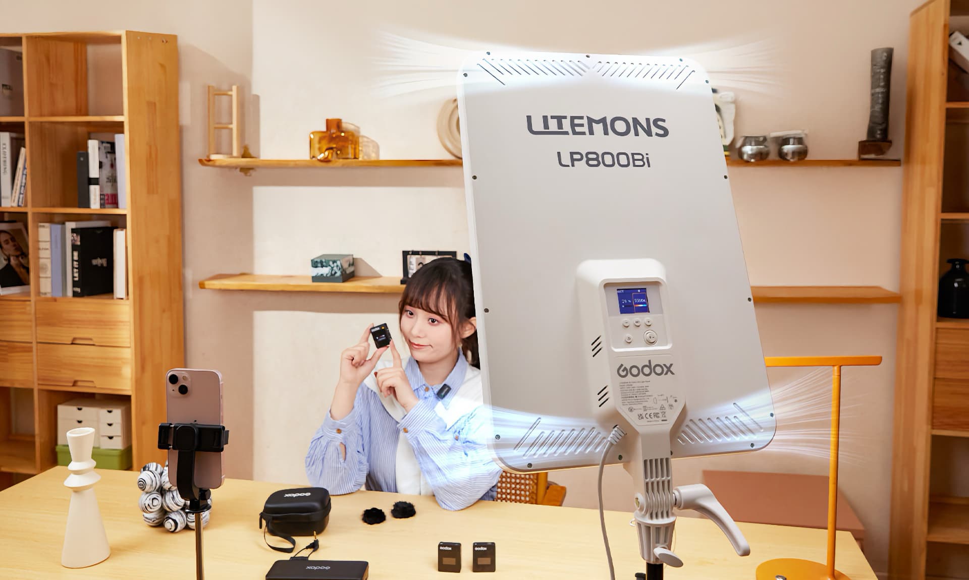 Litemons LP800Bi LED Panel: Large Bi-Color Light for Video